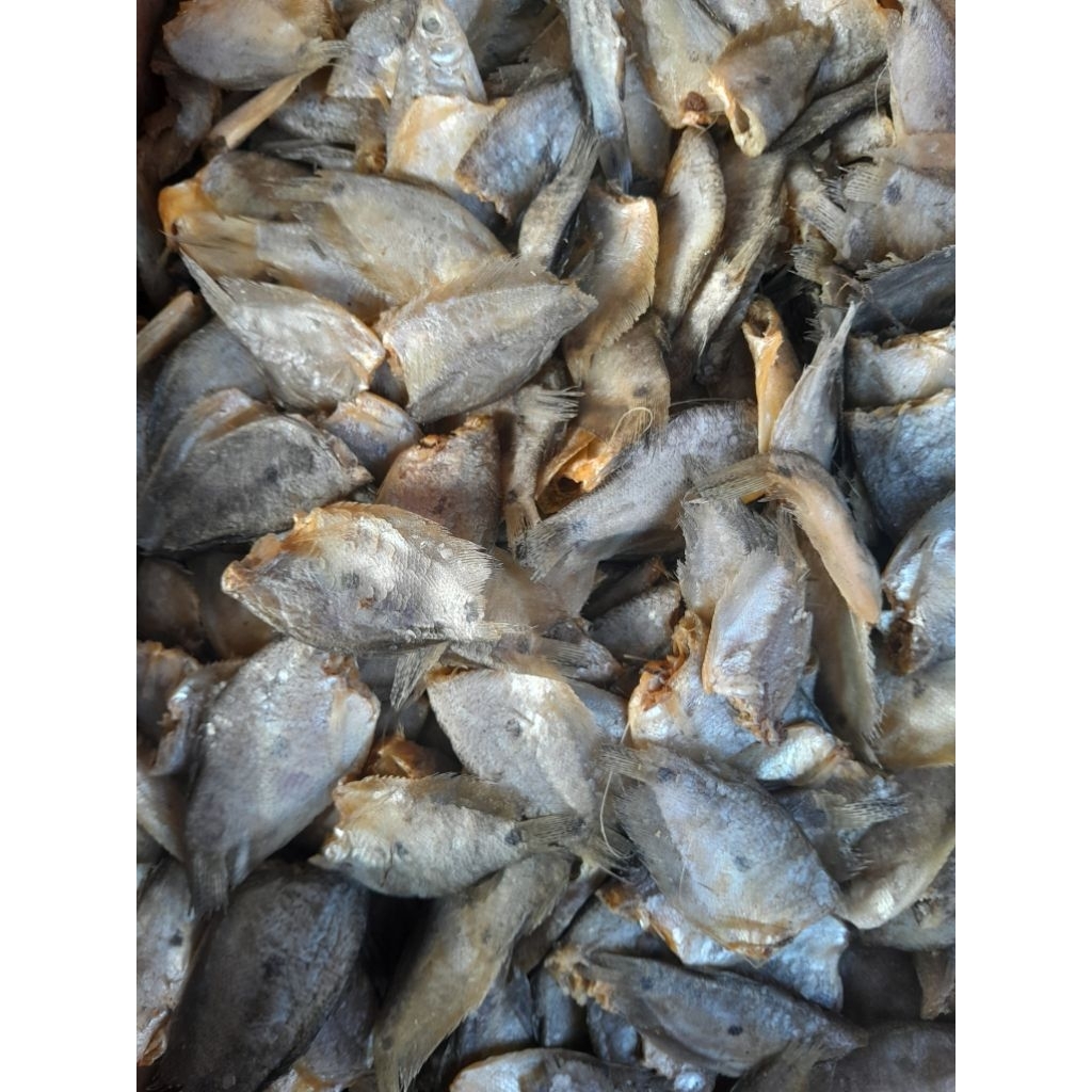 

Ikan Asin Sepat Kecil 1 KG ( size 2-3 cm )
