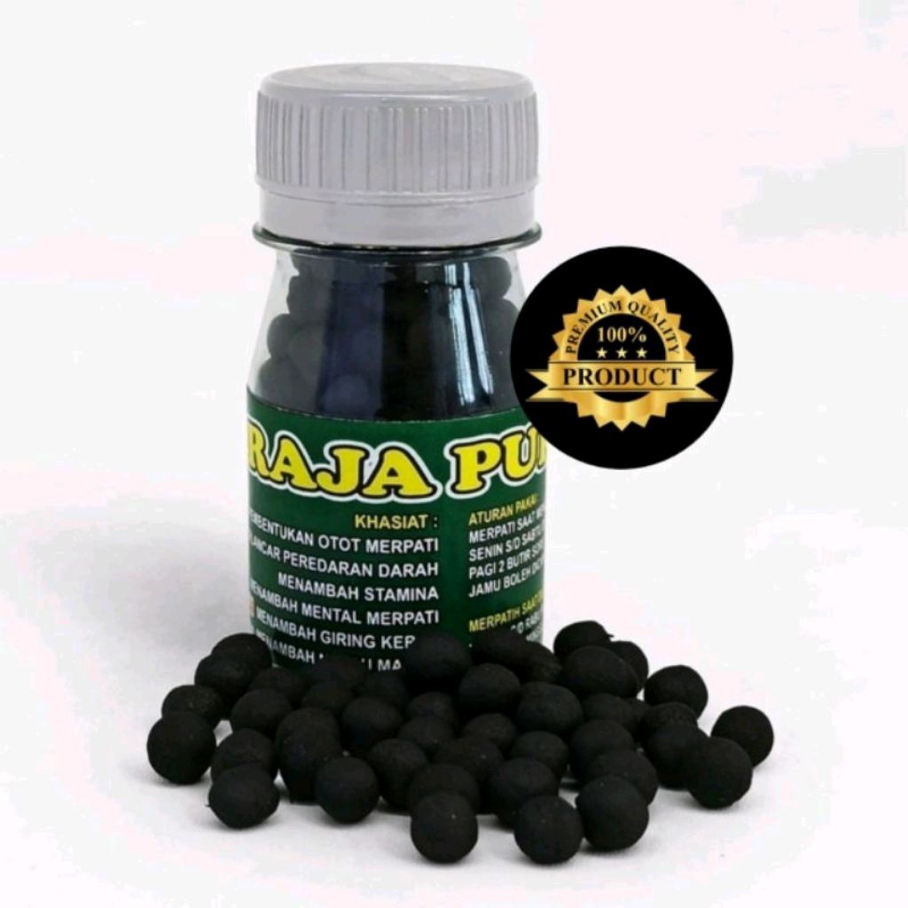 RAJA PUKUL MERPATI PIL MERPATI JAMU BURUNG MERPATI BALAP DOPING MERPATI RAJA KOLONG POS DARA VTRPK 1