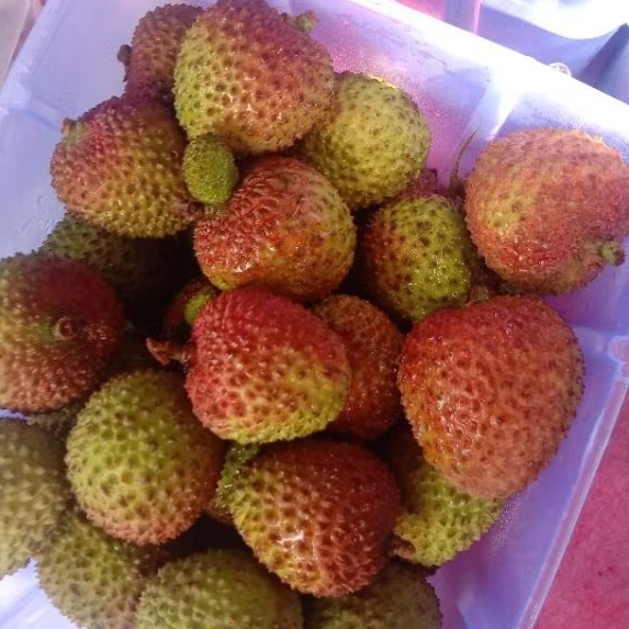 

LECI MADU/LECI IJO MADU PREMIUM 500g buah fresh seger