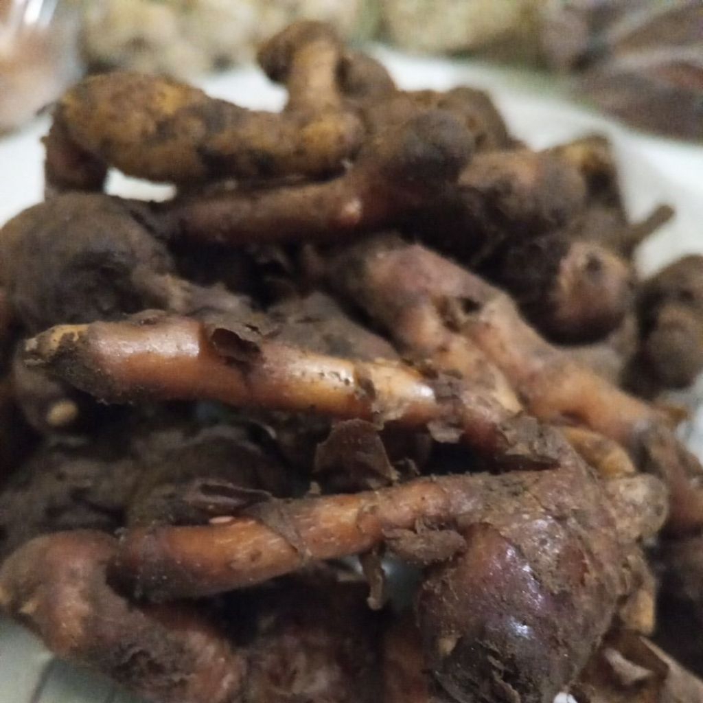 

Kunci Segar Asli | Bumbu Dapur Tradisional | 250gr / 500gr / 1kg