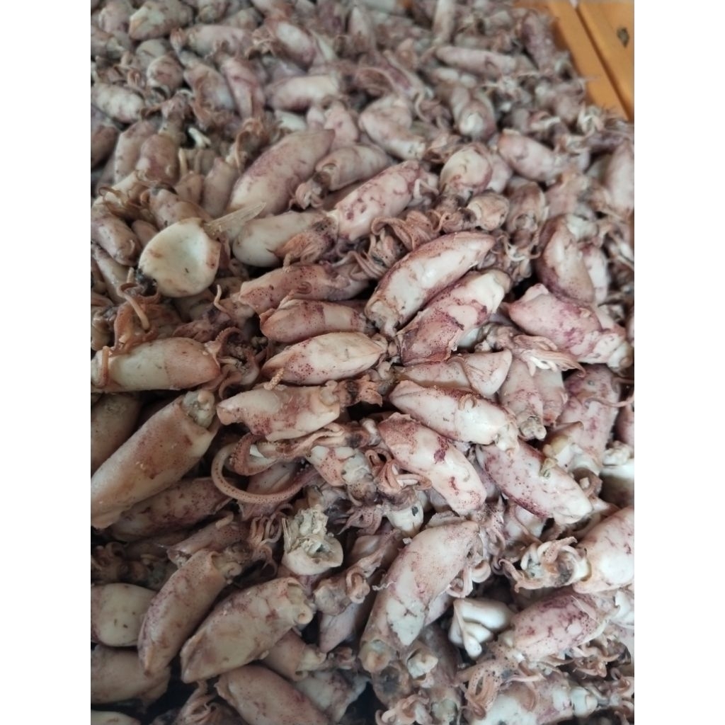 

Sotong Unyil / Cumi Asin Kecil Unyil 250gram