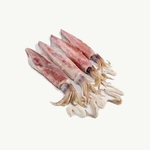 

Cumi segar 500gr ( ukuran sedang )