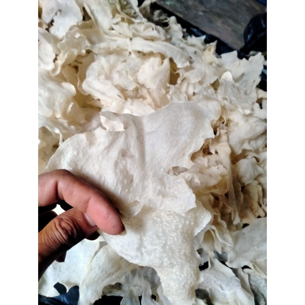 

krecek gadung mentah