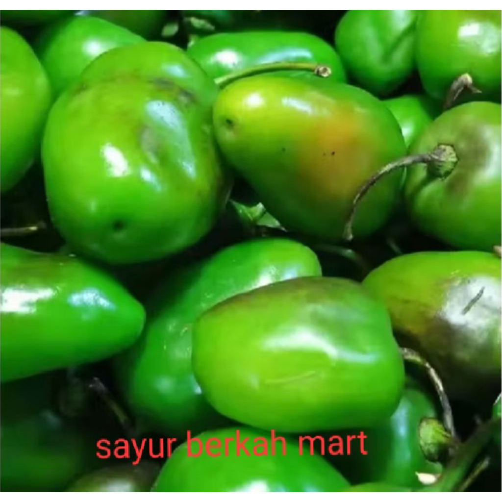 

cabe gendot segar 100g,250g