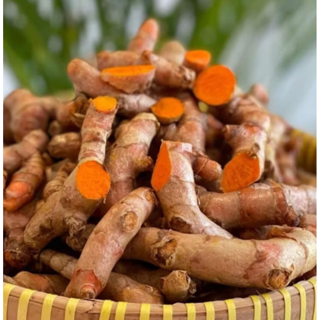 

Kunyit Segar Per 1Kg Kualitas Super