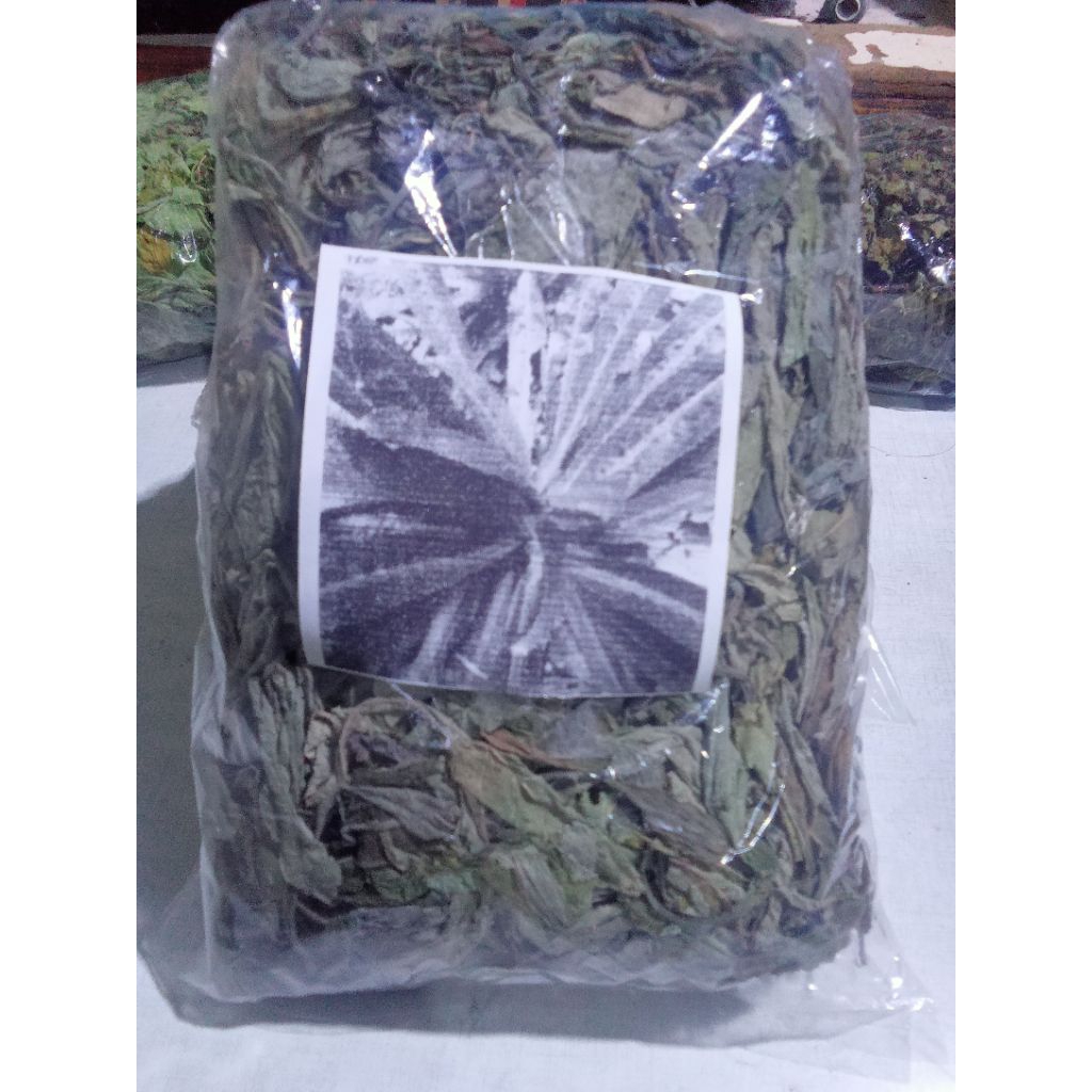 

Daun tempuyung kering