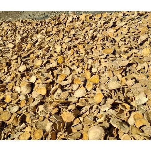 Temulawak kering 1kg