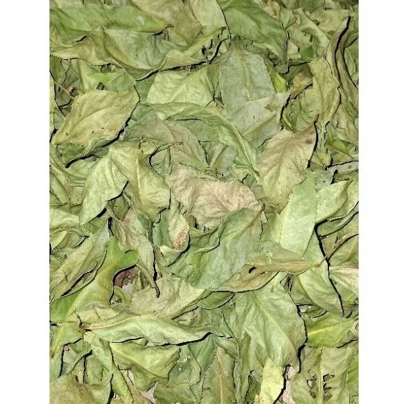 

Daun salam kering 500gram