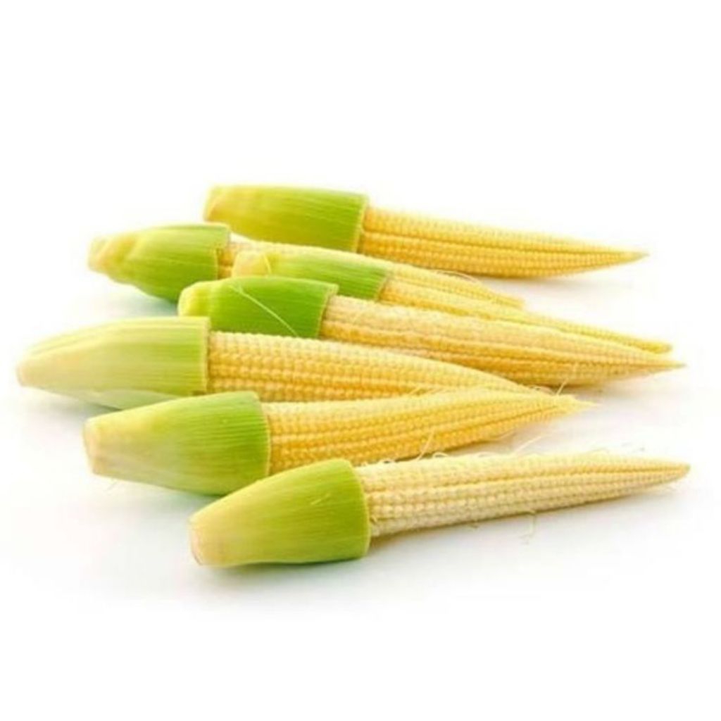 

Putren / Jagung Muda Baby 500 Gram