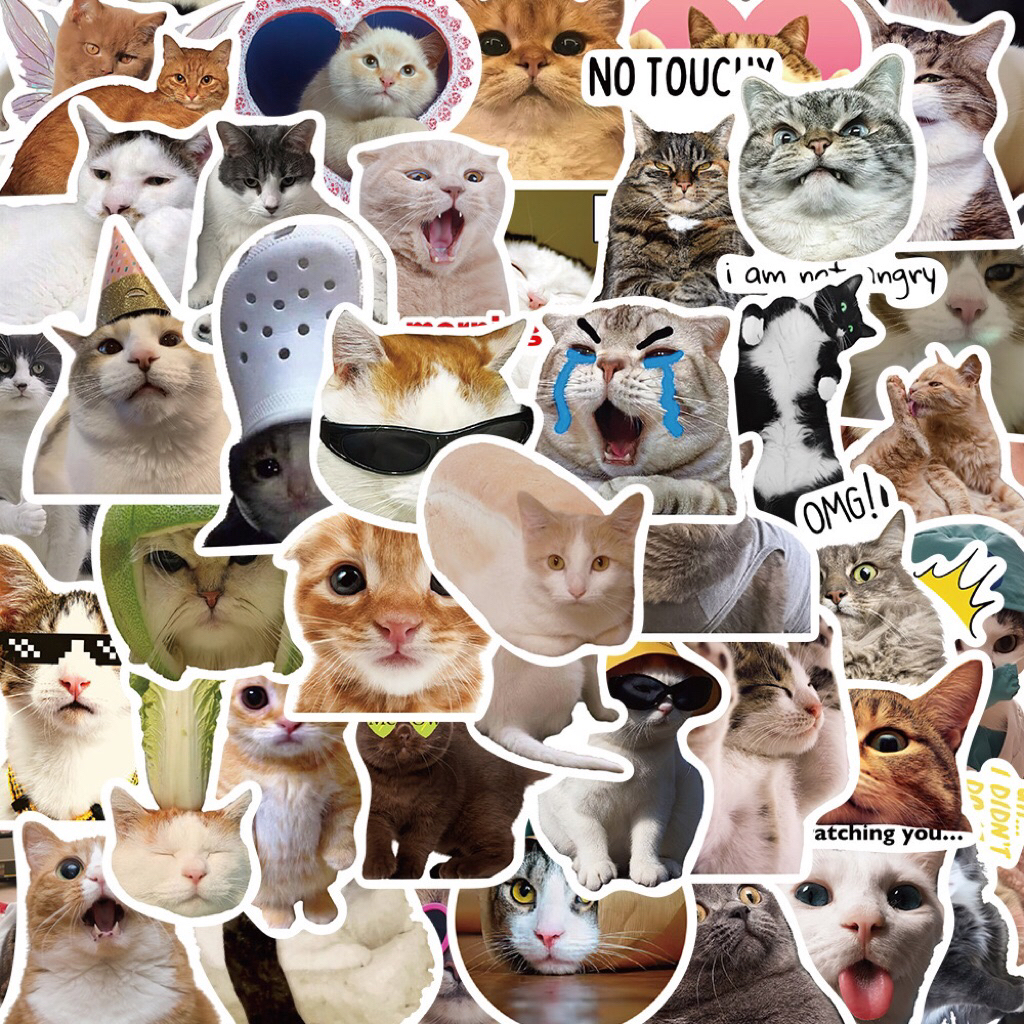 

STICKER ISI 50 PCS Vinyl Anti Air - Random Cat Meme Sticker Deco Pack - Sticker Dekorasi - Sticker Lucu - Sticker Unik - Sticker Jepang