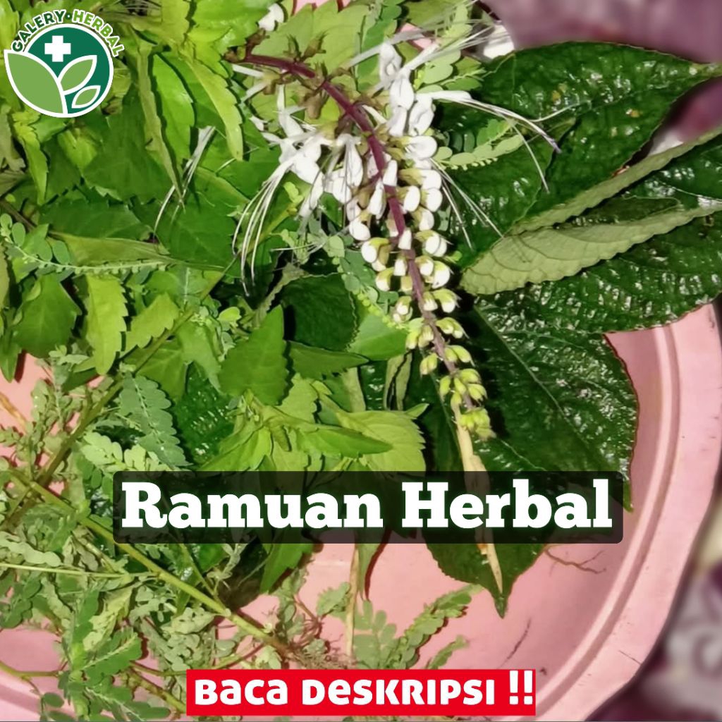 

Paket 150gr Ramuan Kumis Kucing + alang-alang + Keji Beling + Meniran Peluluh b.a.t.u G1nJ4l