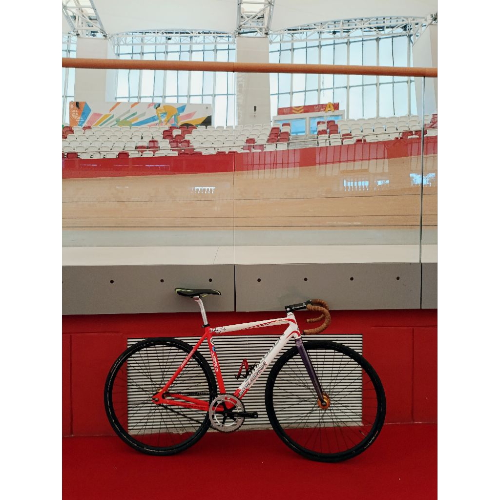 Frame only fixie Smilodon