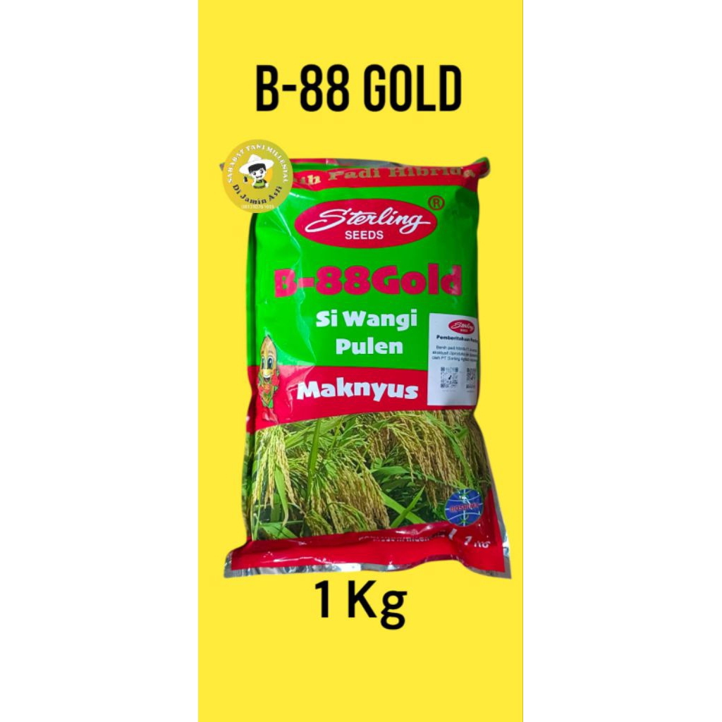Benih padi hibrida Sterling B 88 gold pulen dan wangi  1 kg