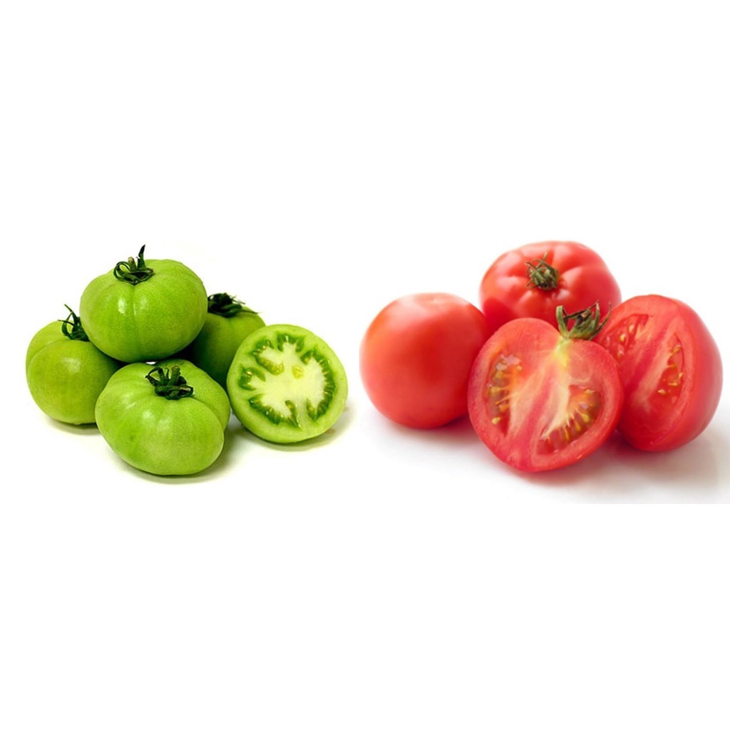 

Tomat Merah, Tomat Hijau 250 Gr
