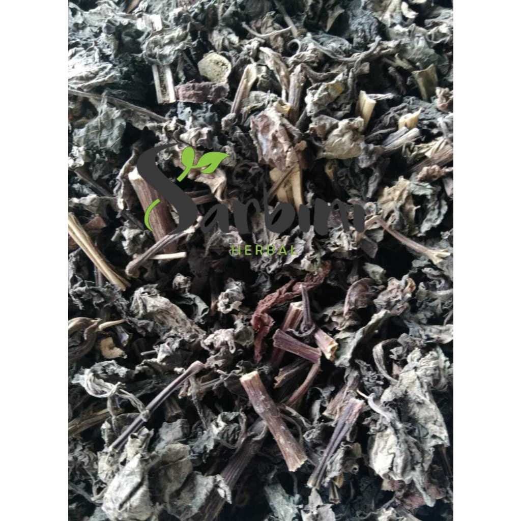 

Daun Iler Kering / Kering Daun Iler Kering / 100 gram / 250 gram / Simplisia Kering Daun Iler Kering / Daun Iler Kering Garansi Terjamin 100% Asli Murni / Bahan Daun Iler Kering Kering / Bahan Daun Iler Kering Premium / Bahan Daun Iler Kering Kering Murni