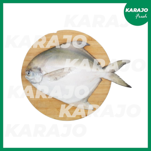 

Ikan Bawal Putih Fresh 500g/1000g