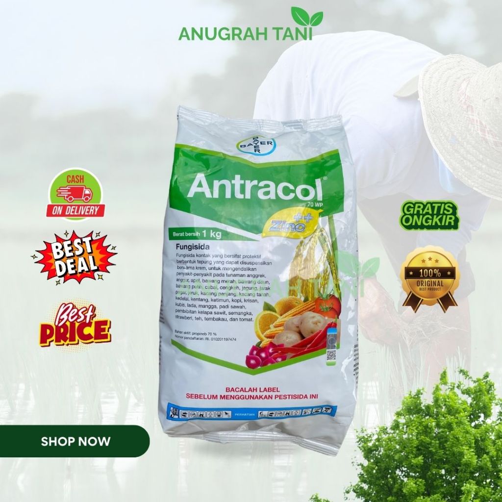 Antracol 70wp 1KG Fungisida Kontak Pengendali Jamur