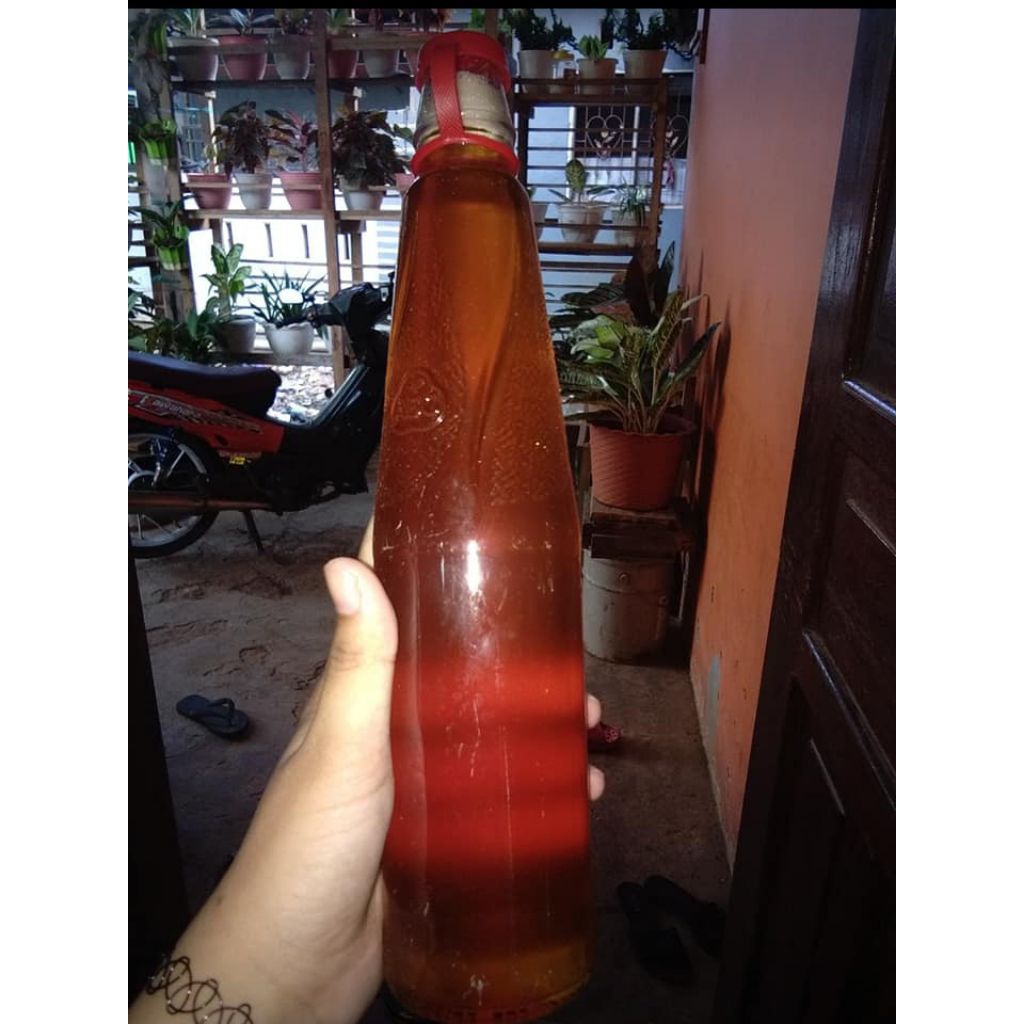 

Madu Asli Hutan Camba