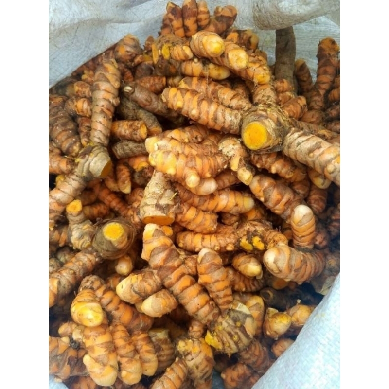 

KUNYIT SEGAR HERBAL / KUNIR FRESH SEGAR