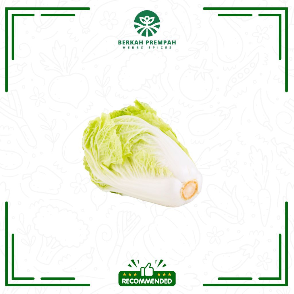 

Sawi putih segar pilihan | Sawi putih fresh - Berkahprempah