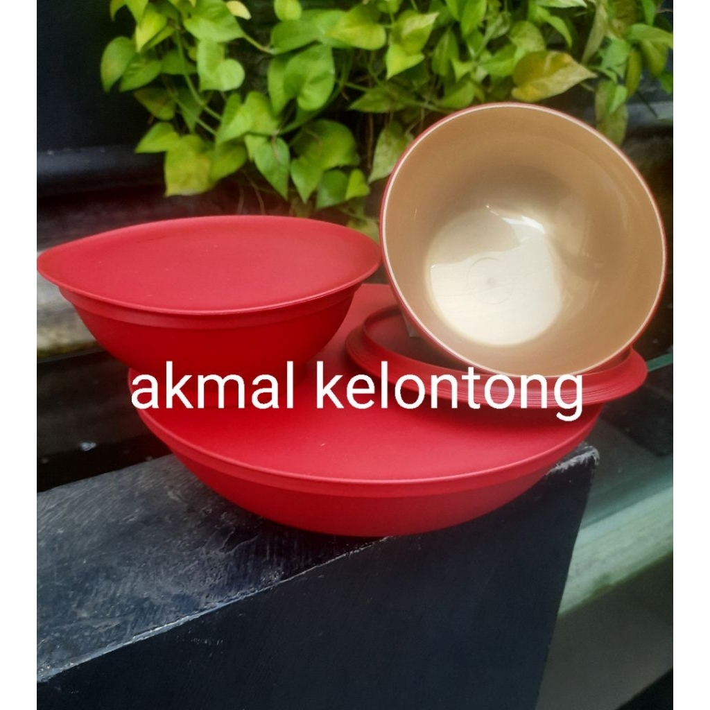 Tupperware Allegra Bowl