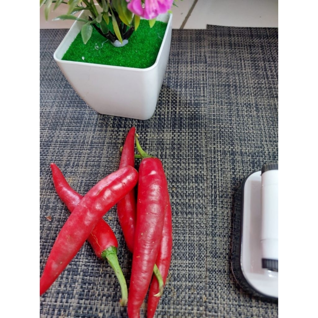 

Cabe Merah Besar 250gr / Sayur Segar Bogor