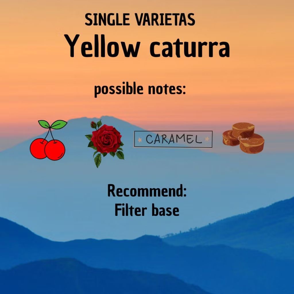 

Arabika yellow caturra Majalengka proses natural -emuhcoffee-