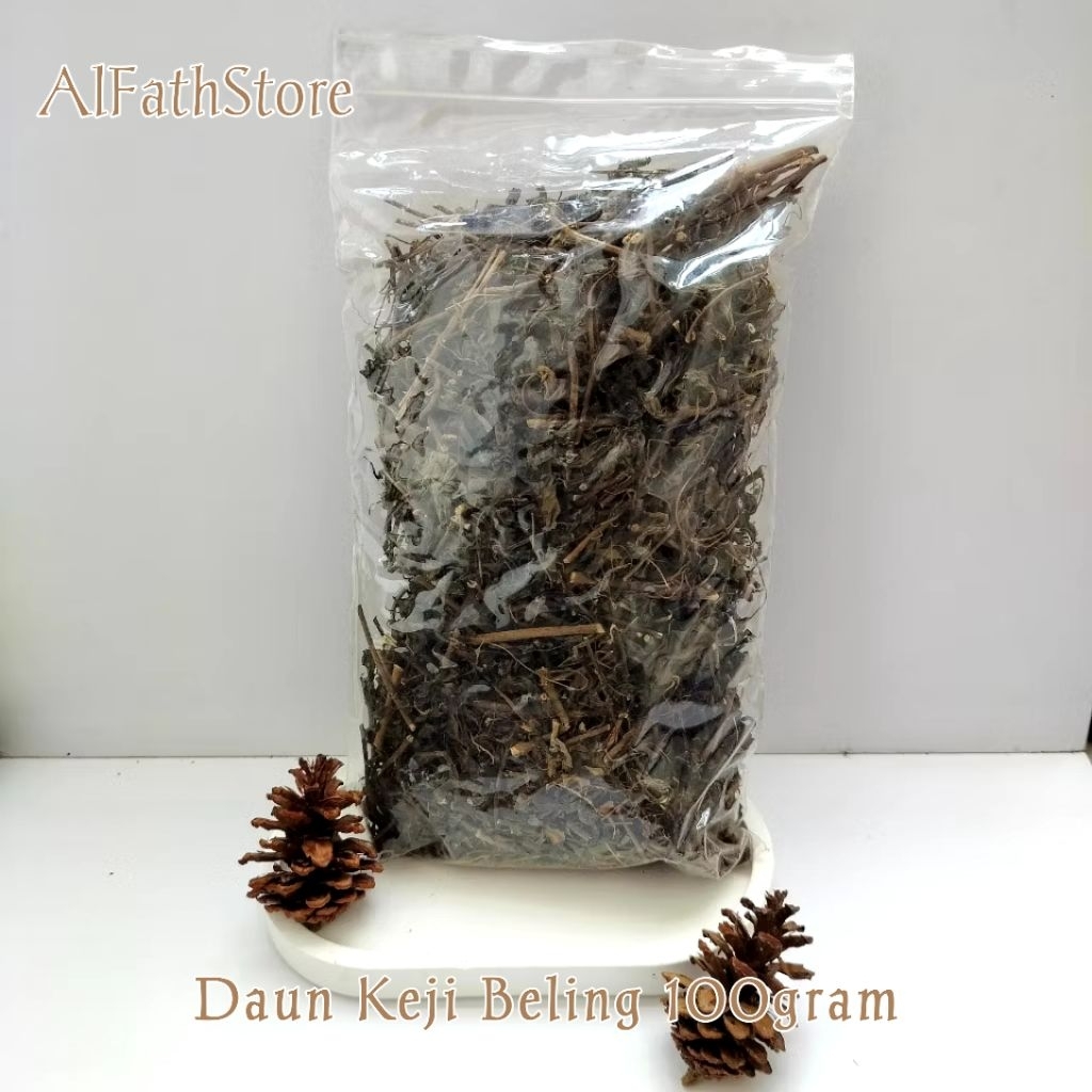 

Daun Keji Beling Kering 100gram Daun Pecah Beling Kering