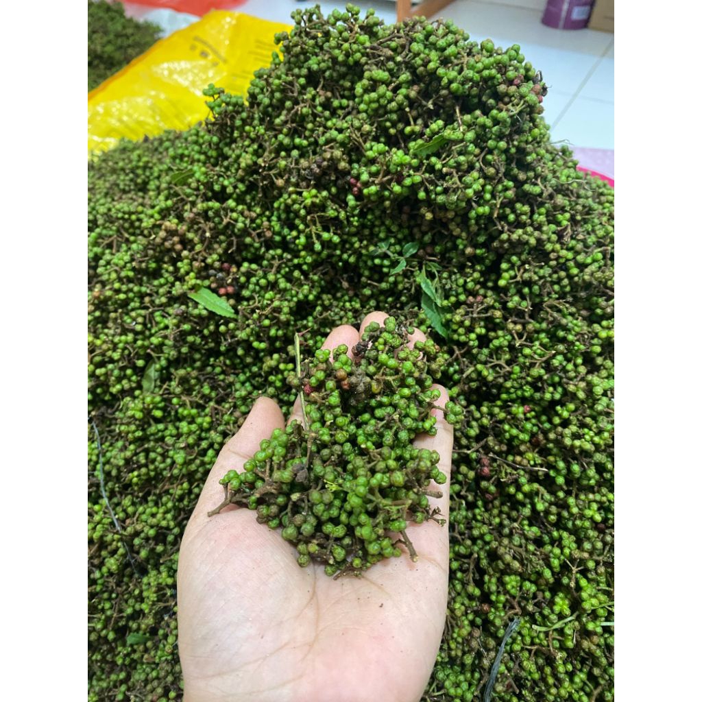 

Andaliman Raya Simalungun(tuba) 1kg