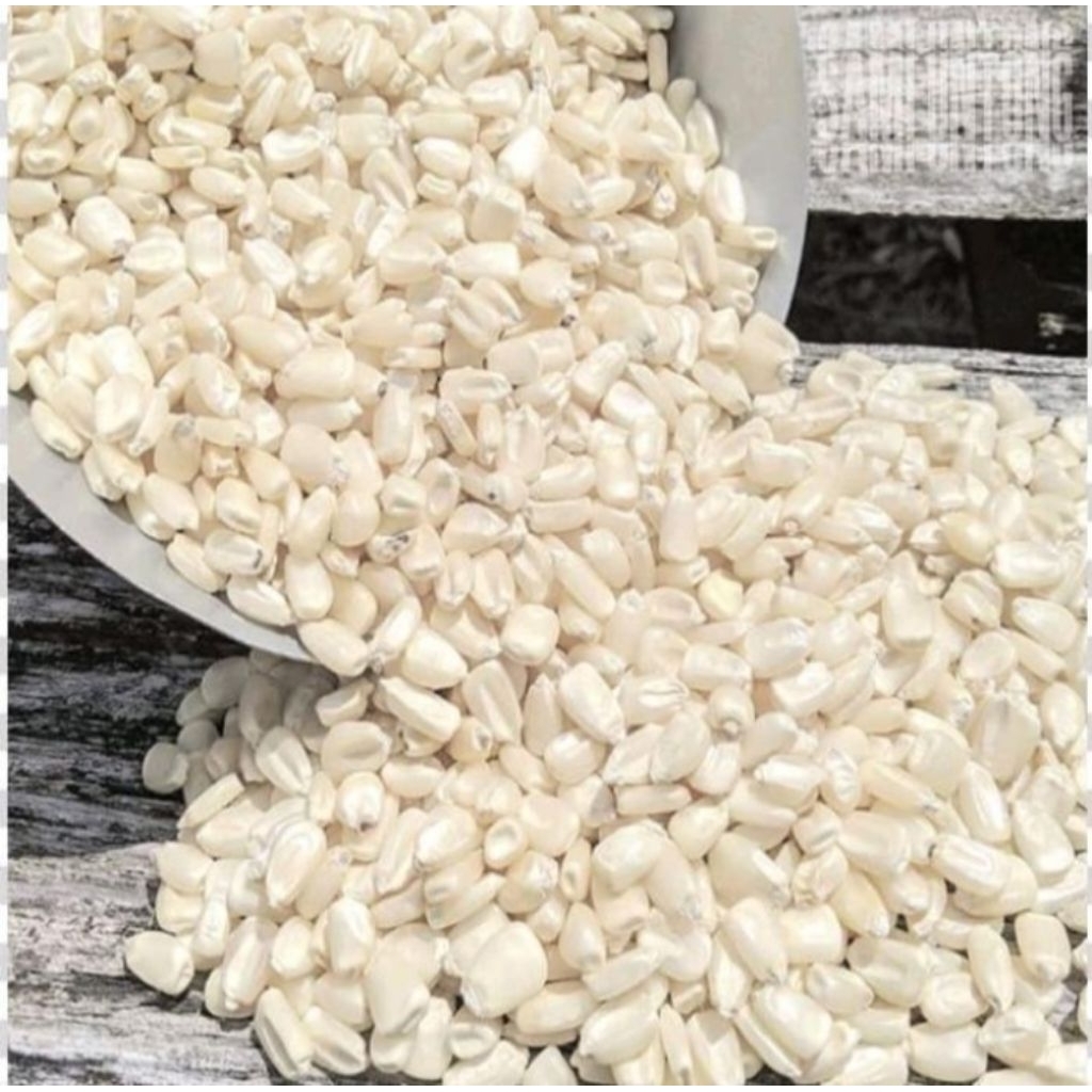 

1KG JAGUNG PUTIH MENTAH,BAHAN JAGUNG BASSANG,BAHAN BUBUR BAYI,BAHAN CAMILAN JAGUNG