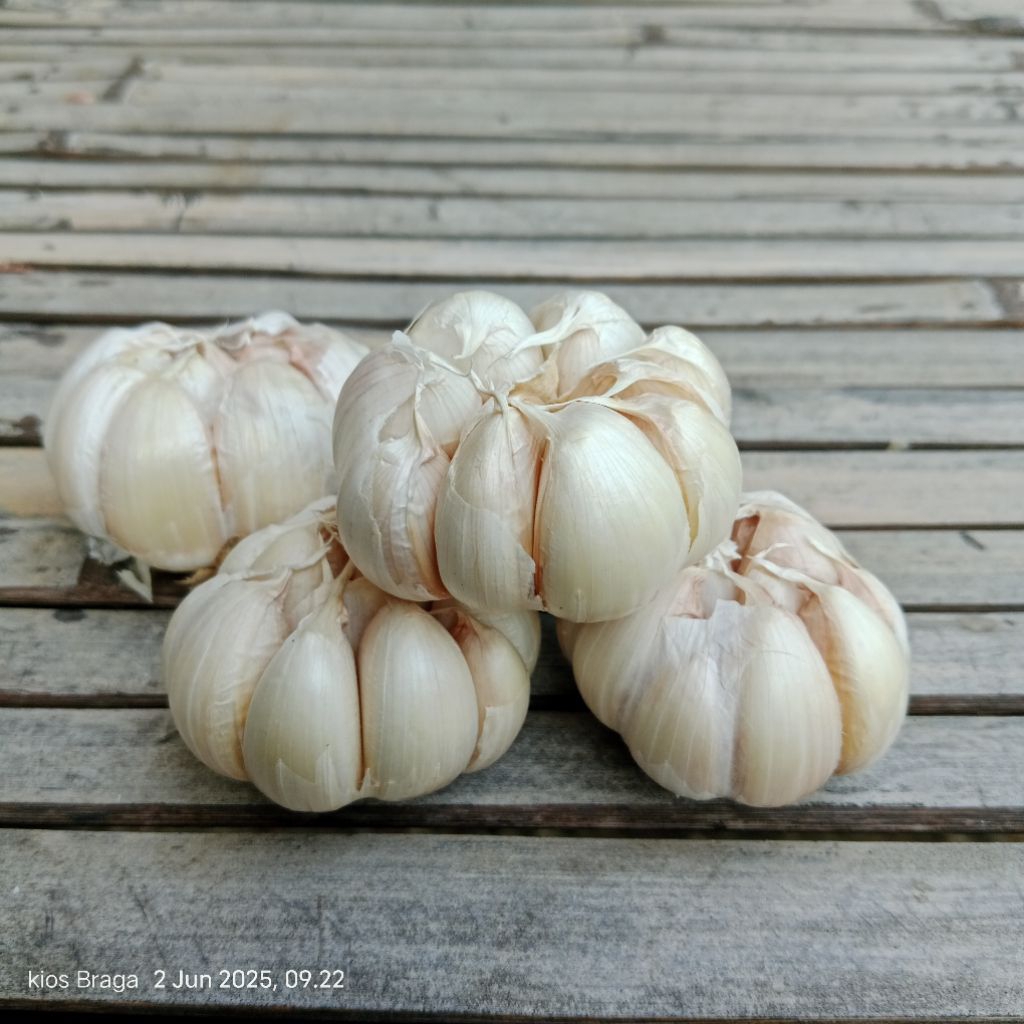 

Bawang putih honan 500grm