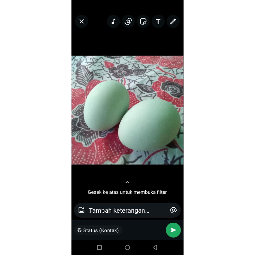 

Telor Asin matang homemade