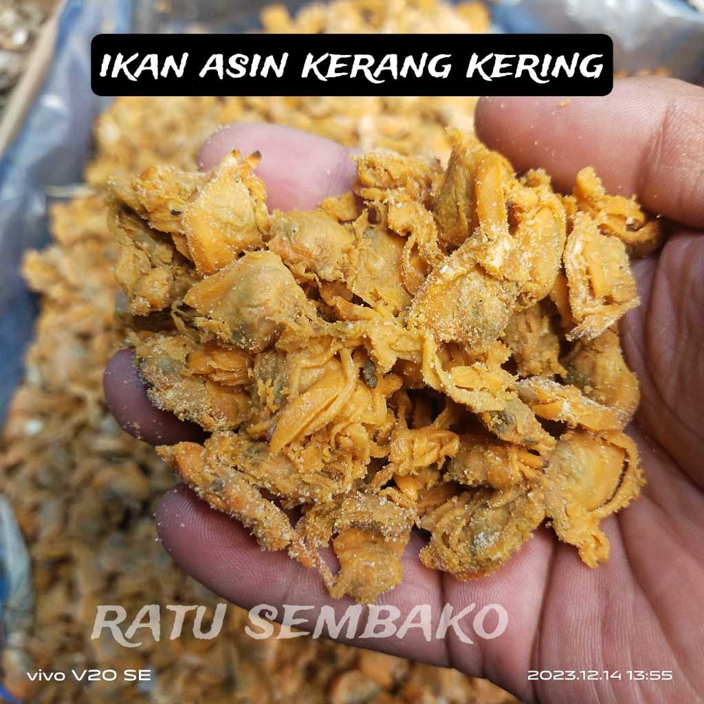 1 1 KG IKAN ASIN KERANG KERING
