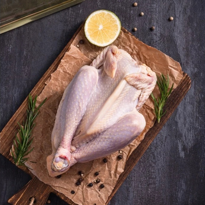 

Ayam Kampung Organik | Organic Kampung Chicken by Opera Organic