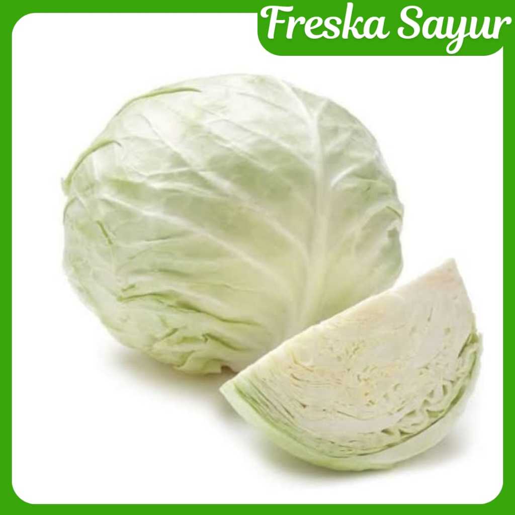 

Sayur Kol I Kol Putih 500 gr I Harga Hemat Kualitas Fresh