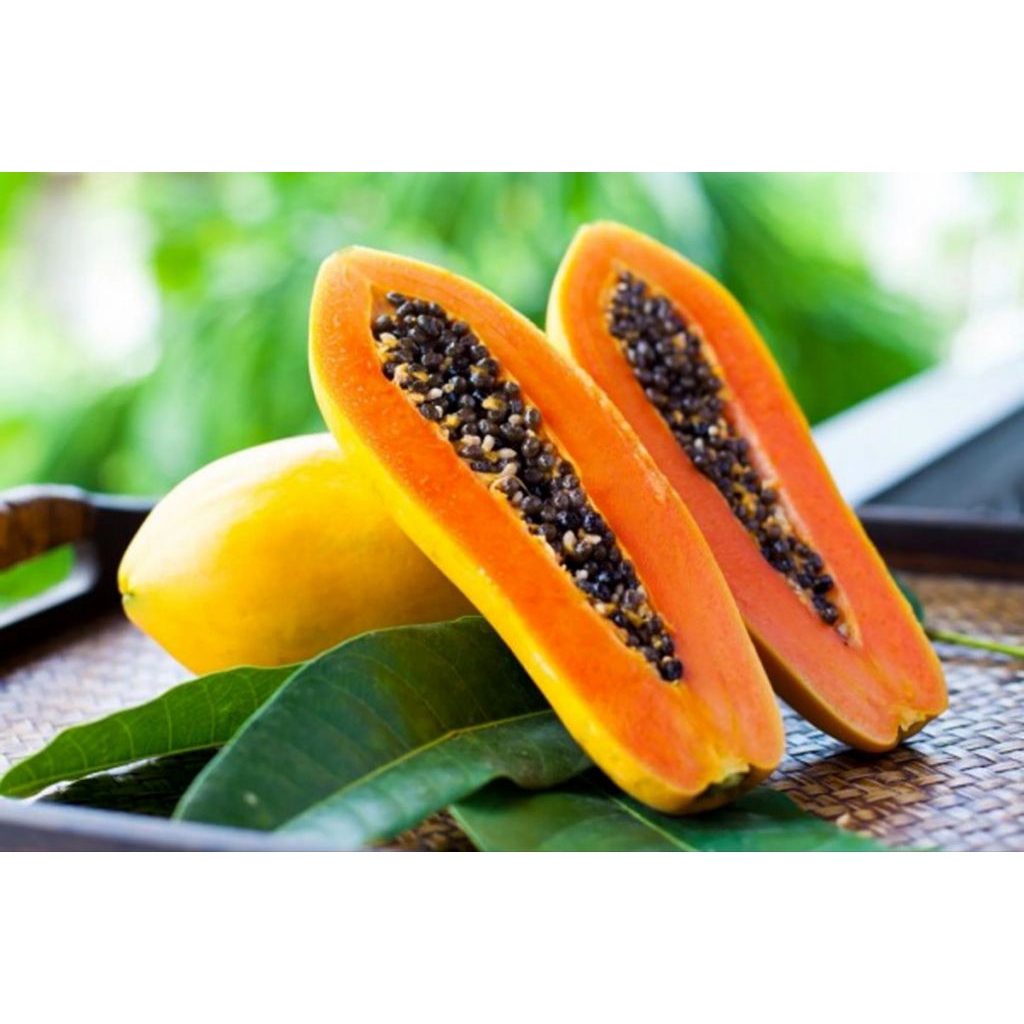 

Pepaya manis super jumbo