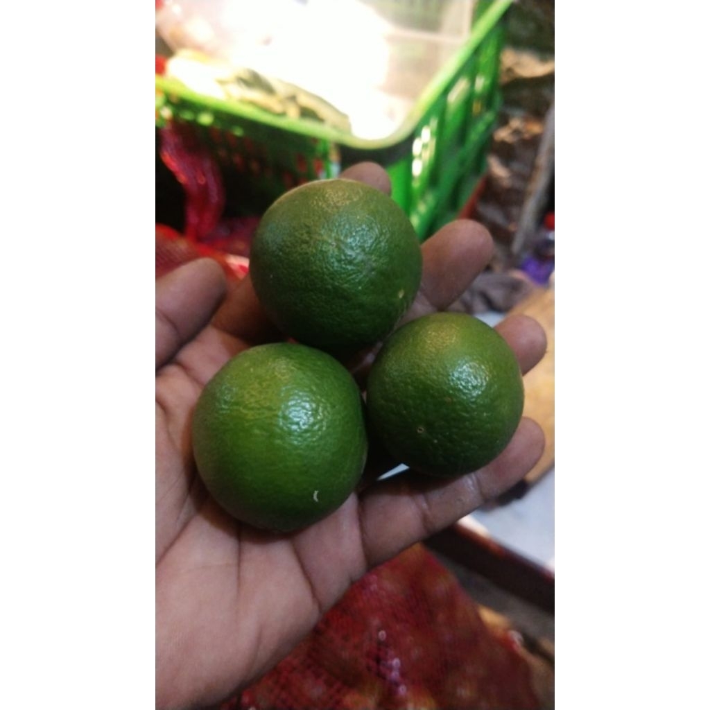 

JERUK NIPIS PERAS 1 KG / JERUK KUNCI 1 KG / JERUK KASTURI SUPER