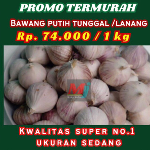 

Bawang putih tunggal/1kg/bawang putih lanang