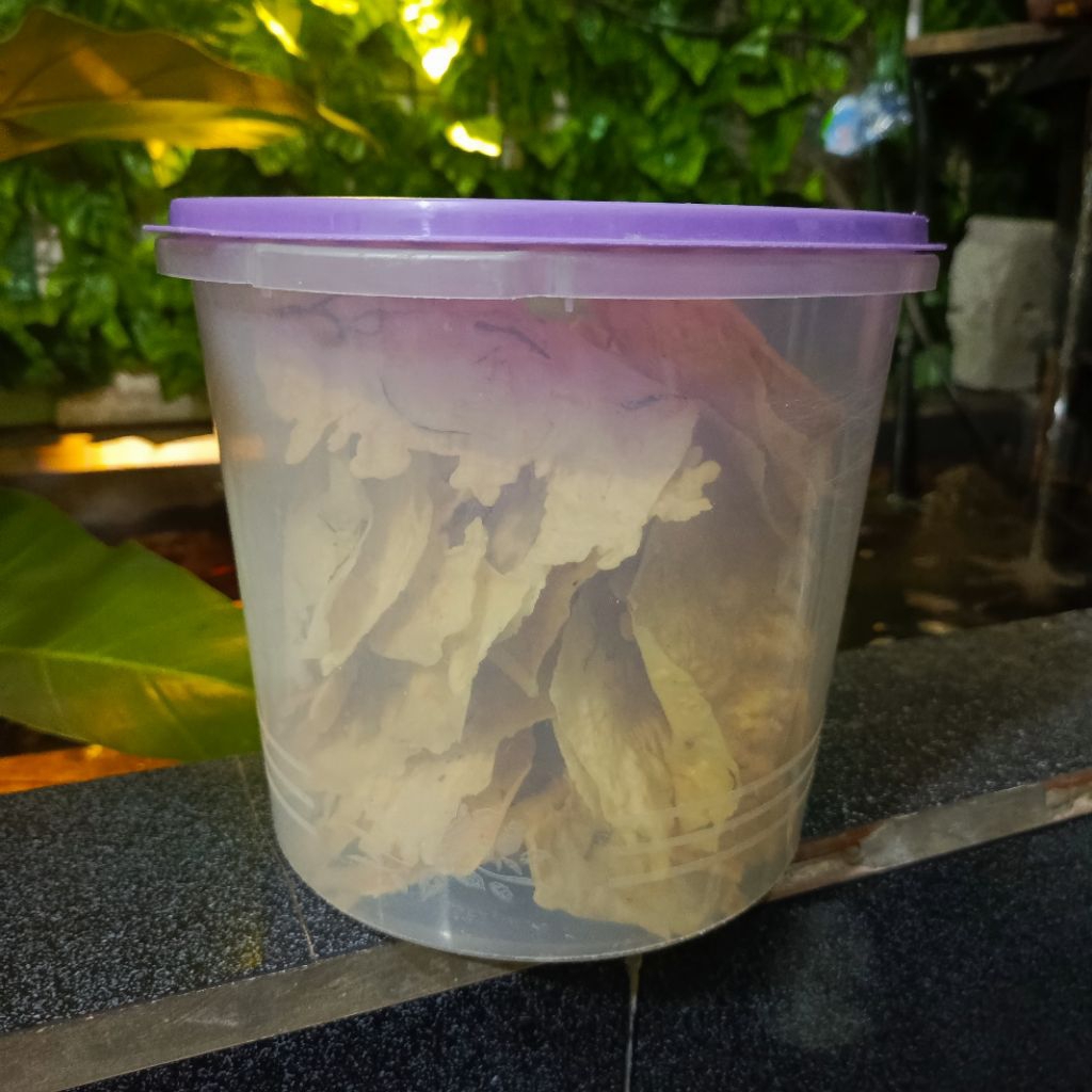 

PEYEK KACANG TANAH.PEYEK REBON.REMPEYEK KACANG.REMPEYEK REBON KEMASAN TOPLES 5 ltr.