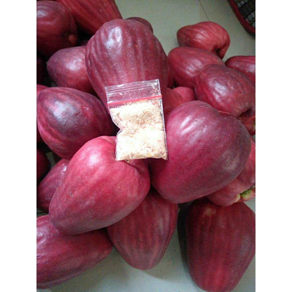 

Buah Jamaika 1Kg matang dipohon + Bumbu rujak