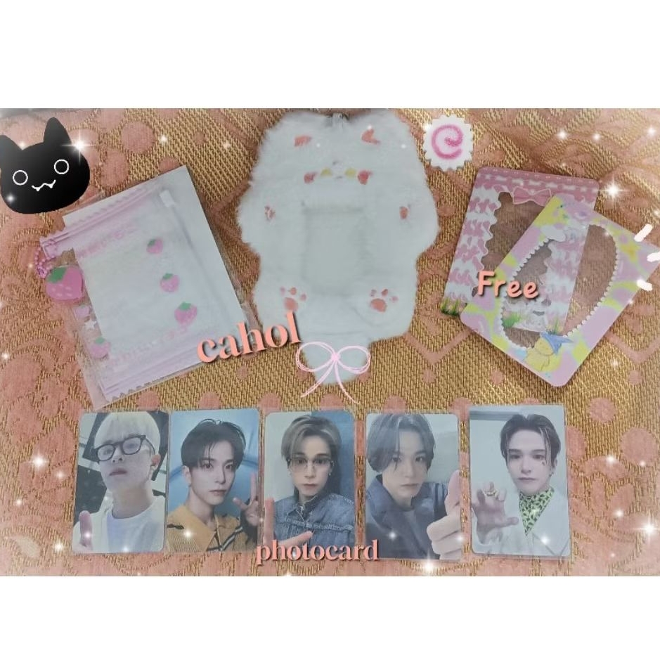 Photocard Dan Card Holder TAKE ALL