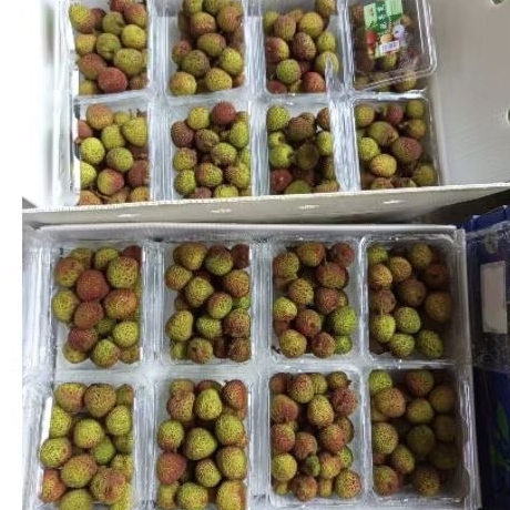 

promo leci import cina manis premium 500 gram