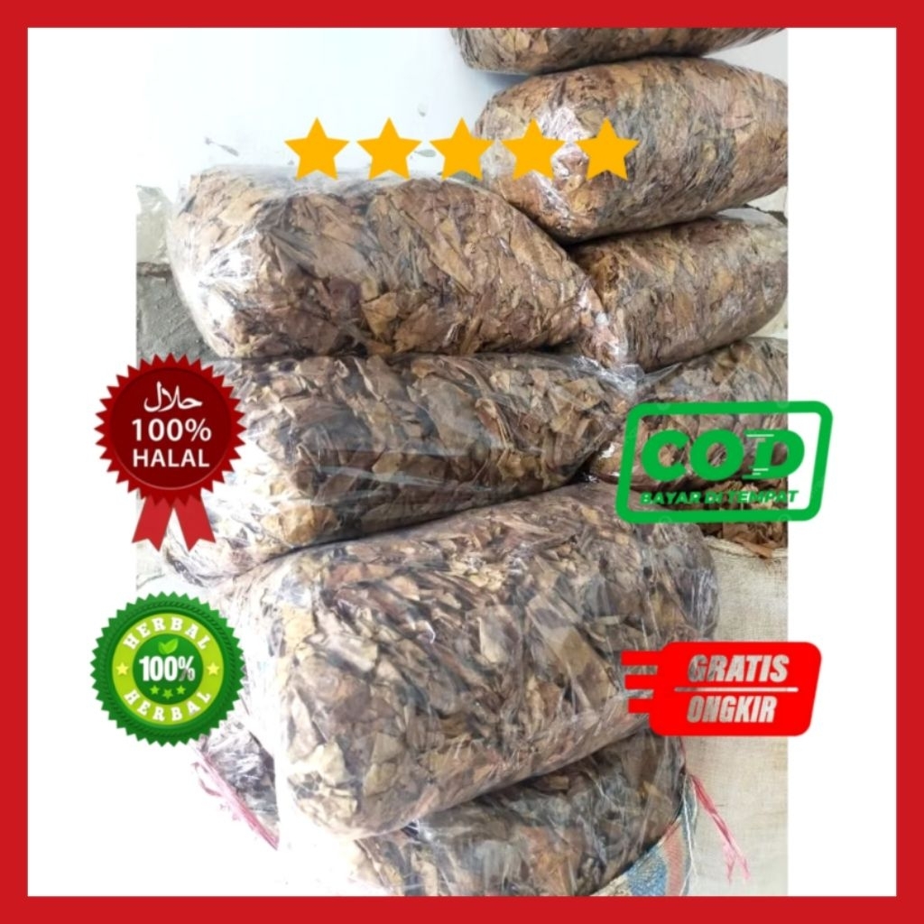 daun ketepeng kering bagus untuk aquarium