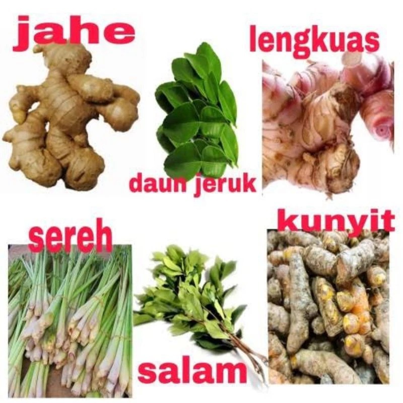 

Rempah Herbal Segar Bumbu Dapur Komplit Fresh Kunyit/Sereh/Jahe/Kencur/Daun Pandan/Temukunci