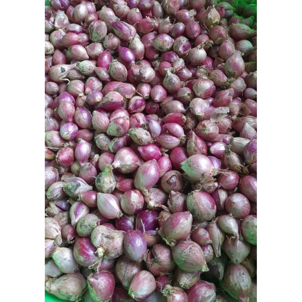 

[PROMO] BAWANG MERAH KECIL CAMPUR SEDANG 1KG ASLI KERING