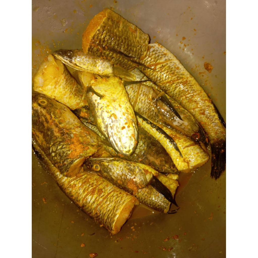 

PROMO IKAN GABUS BUMBU KUNING 500 GRAM