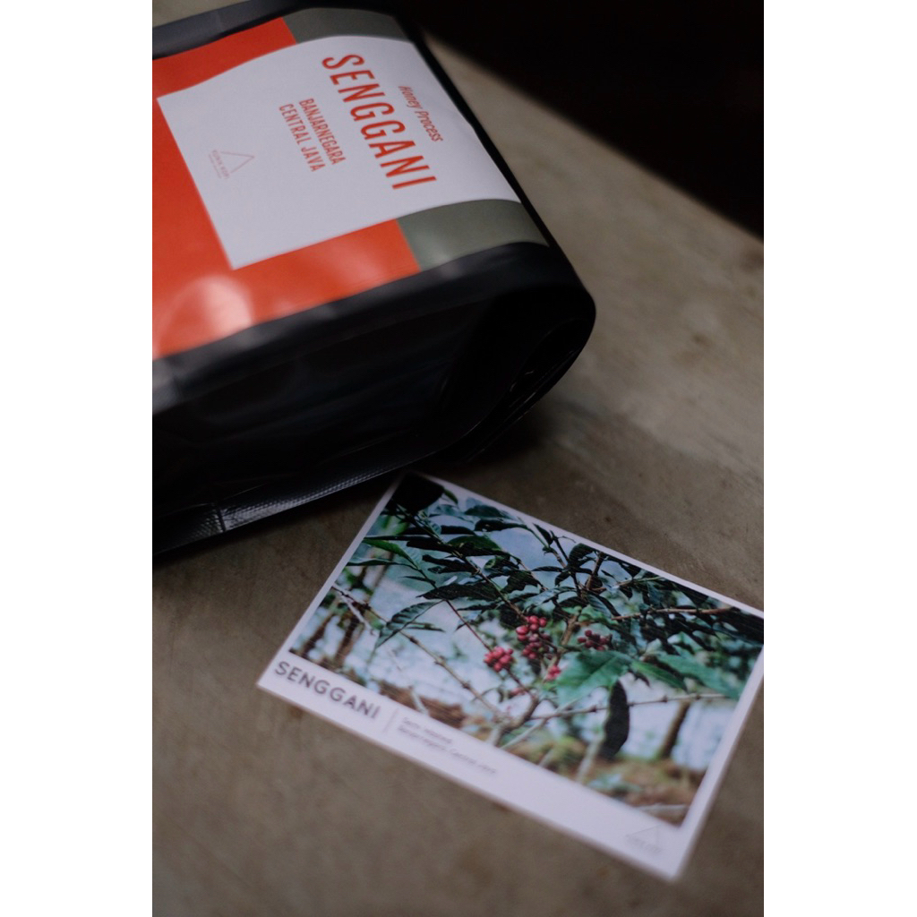 

Klinik Kopi Senggani Honey Proses