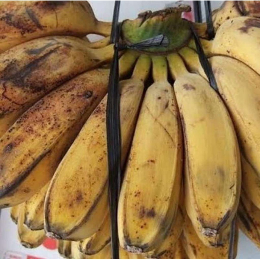 

Pisang Kepok Manis