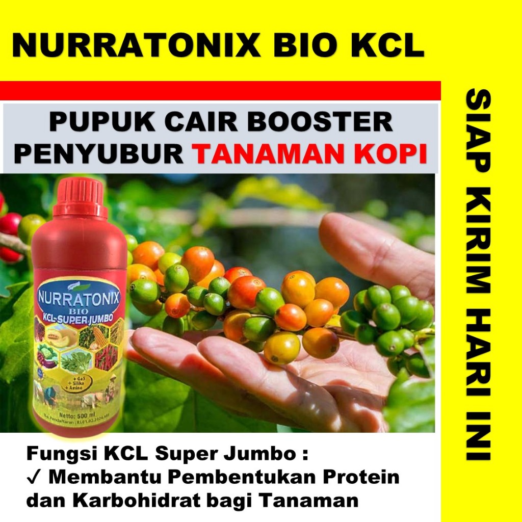 NURRATONIX BIO KCL SUPER JUMBO  Plus GA5, SILIKA, AMINO pupuk cair tanaman kopi terbaik ampuh pupuk 