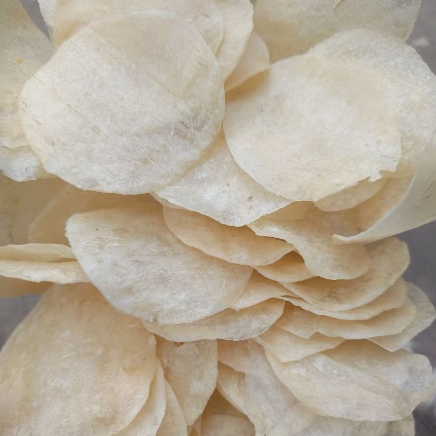 

Opak singkong opak getuk mentah 250gr
